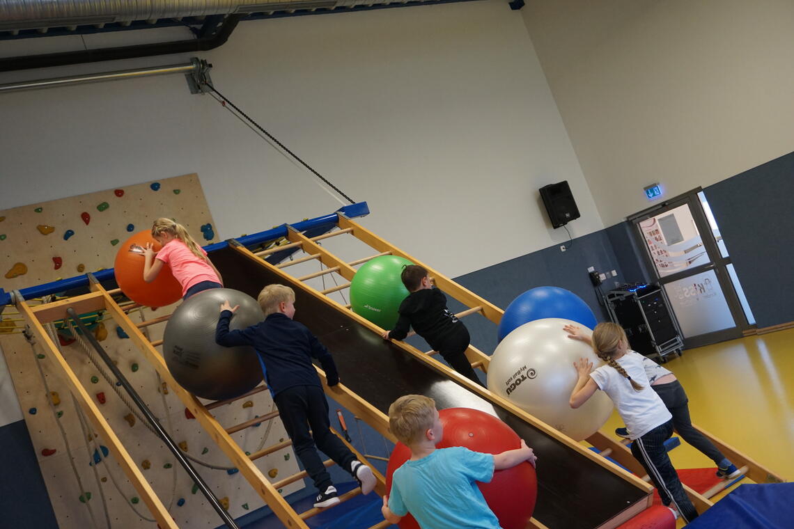 Kinder mit Gymnastikbällen auf Actioncenter Kinder mit Gymnastikbällen auf Actioncenter